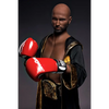 5ft 9in 175cm muscular Black male sex doll bald with a large penis dressed in a boxing outfit.