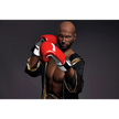 5ft 9in 175cm muscular Black male sex doll bald with a large penis dressed in a boxing outfit.