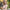 Melissa is a 5ft 6in or 168cm tall life size, lifelike, white female silicone sex doll with long legs, blue eyes, curly blonde hair, fair skin, large perky breasts and a sexy curvy body.