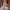 4ft 7in 140cm hybrid sex doll (TPE body silicone head) Savannah by Climax Doll. Savannah is a curvy bbw white female sex doll featuring extra large breasts, giant ass, tanned skin and blonde hair.