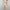 3ft 11in or 120cm tall Aki.  Anime TPE sex doll with large breasts, long dark blue hair, purple eyes and a pink and white bikini. Made by Irokebijin.