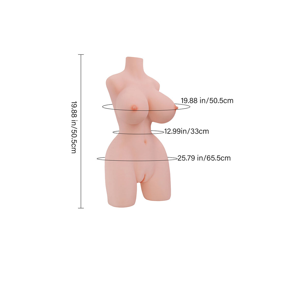 Lena, life size ultra realistic female TPE sex doll torso with large realistic gel filled breasts and comes in either fair or wheat skin tone.  Made by Joy Toy.