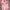 Lori Bunny anime sex doll with bunny ears and pink jacket
